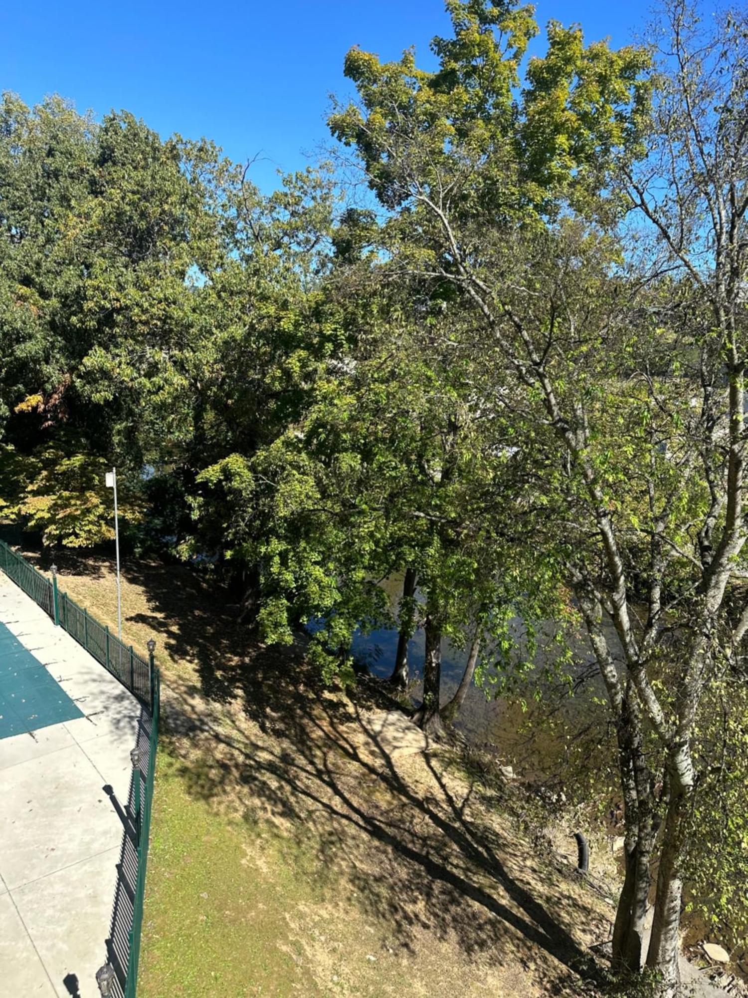 River Place Condos #409 1Bd, 2Bath بيدجن فورج المظهر الخارجي الصورة